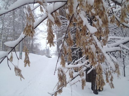 В Башкирии предполагается мокрый снег и гололед