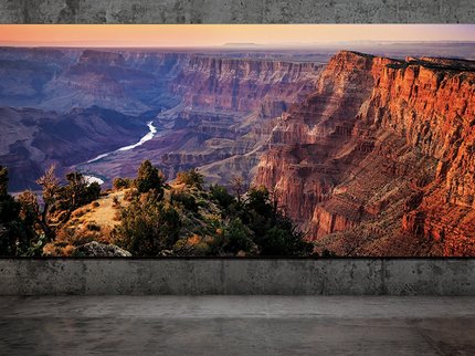 Диагональ 292 дюйма и разрешение 8К: Samsung представила свой новый телевизор